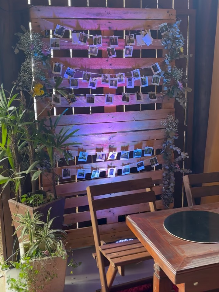Painel de fotos com luzes e plantas
